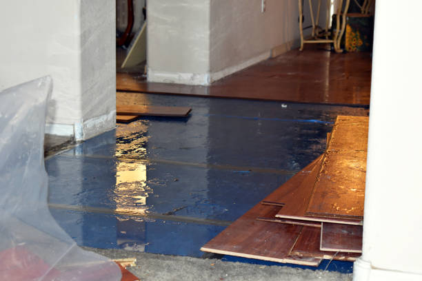 Professional Basement Flooding technician working in Glidden, TX